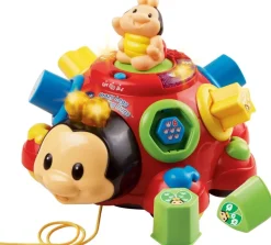 Læringsinsekt Med Skore Ben