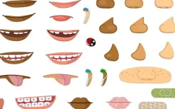 Magnetleg - Lav Ansigter