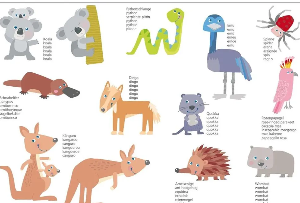 Magnetleg - Verdens Dyr