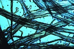 Mikroskop - Starterkit I Kuffert