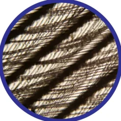 Mikroskop 100-450X - Inkl. Prover