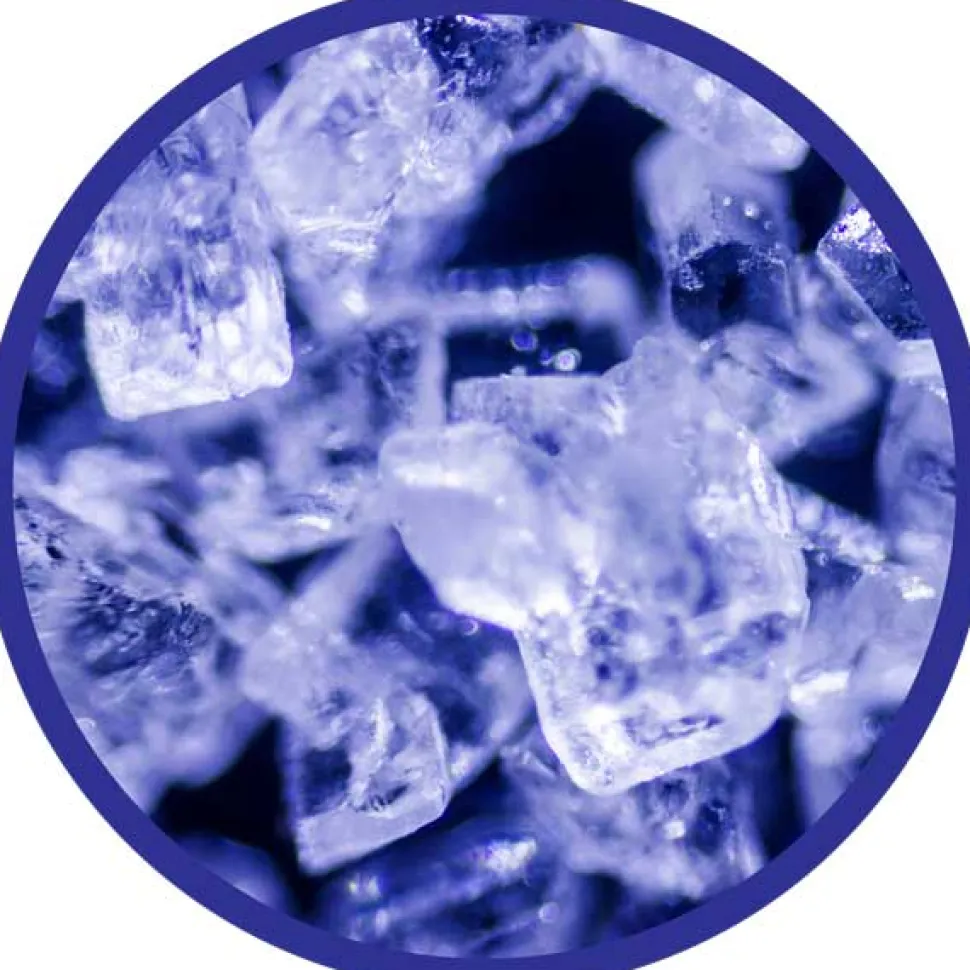 Mikroskop 100-450X - Inkl. Prover