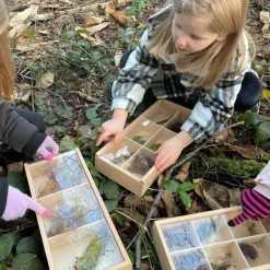 Opdagelsesaesker Af Trae, 3 Stk