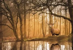 Puslespil Med 500 Brikker - Rustling Silence