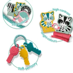 Sanse- Og Aktivitetsring