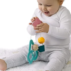 Sansesnor (Fra 12 Mdr)