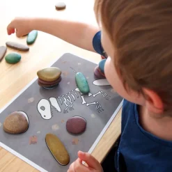 Sansesten Eco, 36 Stk - Inkl. Aktivitetskort