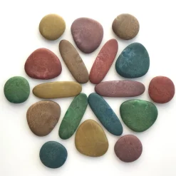 Sansesten Eco, 36 Stk - Inkl. Aktivitetskort