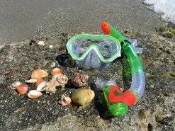 Snorkelsaet Inkl. Svommefodder (4-12 Ar)