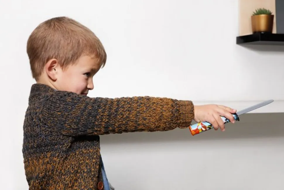 Snydekniv - Pirat, 22 Cm.