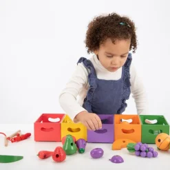 Sorter I Kasser - Grontsager Og Frugter