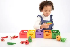 Sorter I Kasser - Grontsager Og Frugter