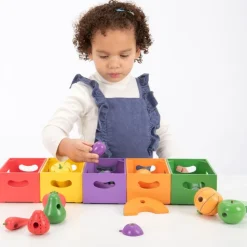 Sorter I Kasser - Grontsager Og Frugter