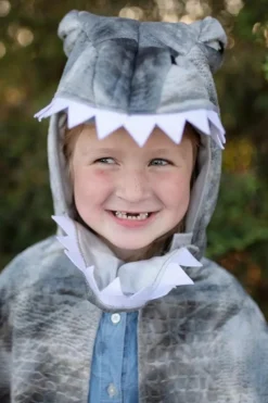 Spinosaurus, Str. 4-6 Ar