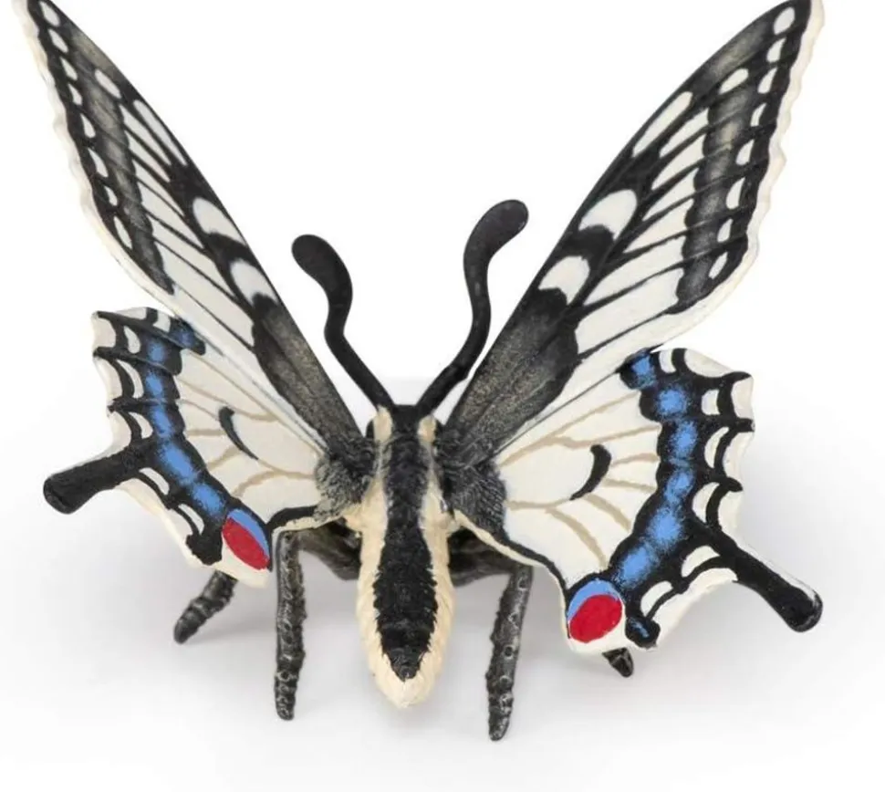 Svalehale Sommerfugl - B: 5,5 Cm