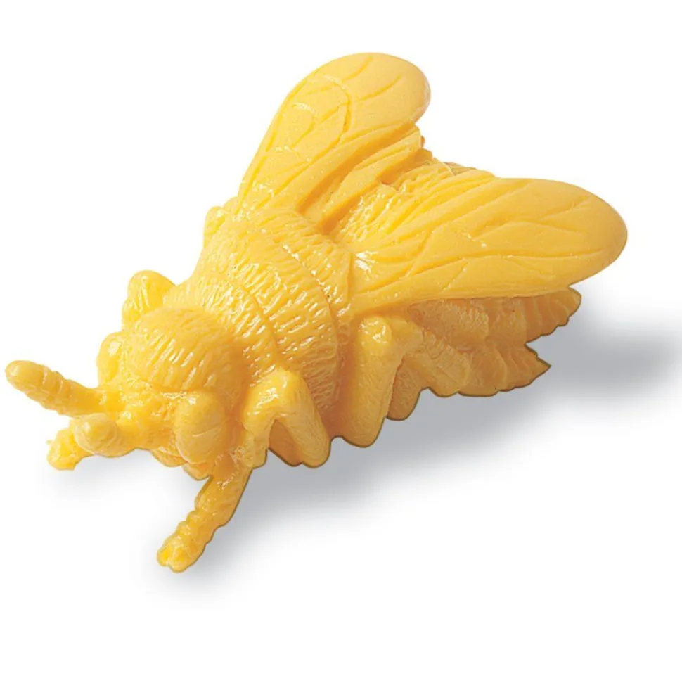 Tael & Sorter - Insekter, 72 Dele