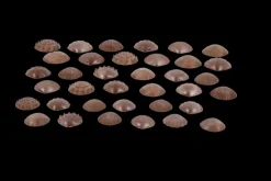 Taktilskaller - Eco, 36 Stk