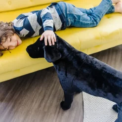 Tojdyr I Plys - Labrador, Sort