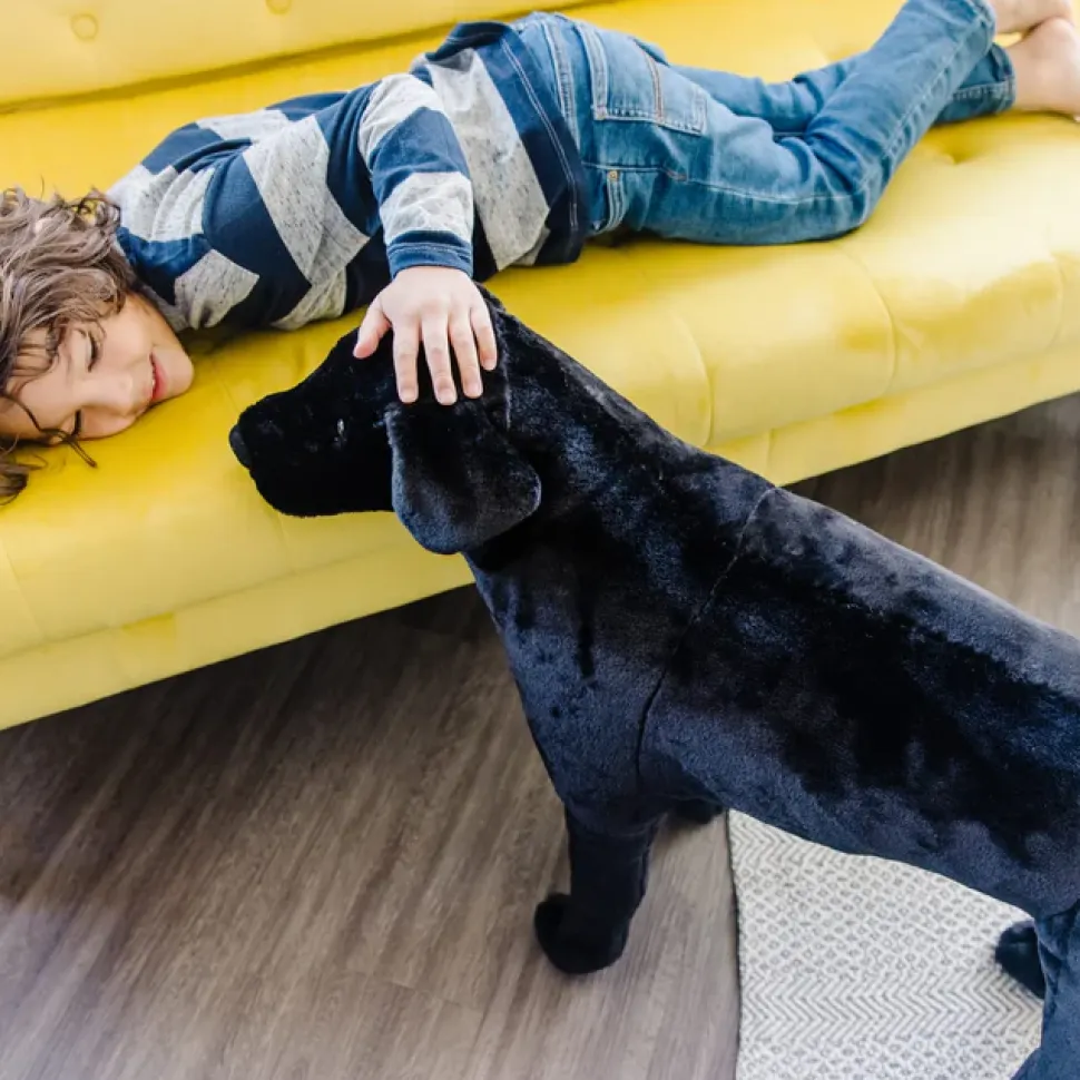 Tojdyr I Plys - Labrador, Sort