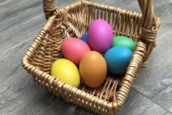 Traeaeg - Regnbue, 7 Stk