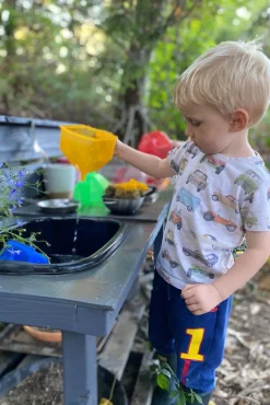 Tragte - Transparente, 6 Stk