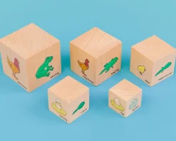 Træklodser - Livscyklusser