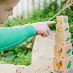 Træklodser - Livscyklusser