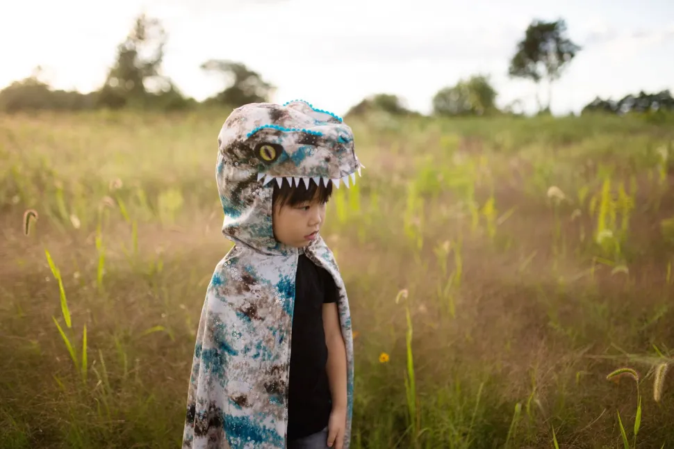 Velociraptor, Str. 4-6 Ar