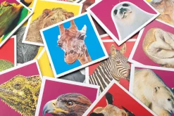 Vendespil - Vilde Dyr