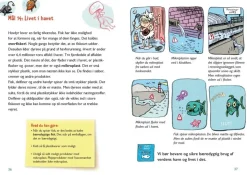 Verdensmal 2030 – 17 Mal For Vores Verden