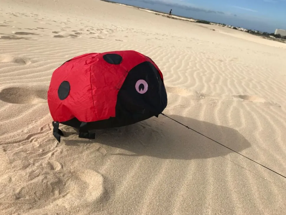 Vindmagi - Hoppende Mariehone (40 X 40 Cm.)