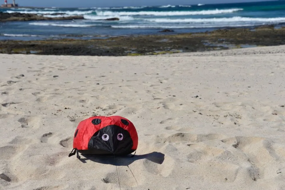 Vindmagi - Hoppende Mariehone (40 X 40 Cm.)