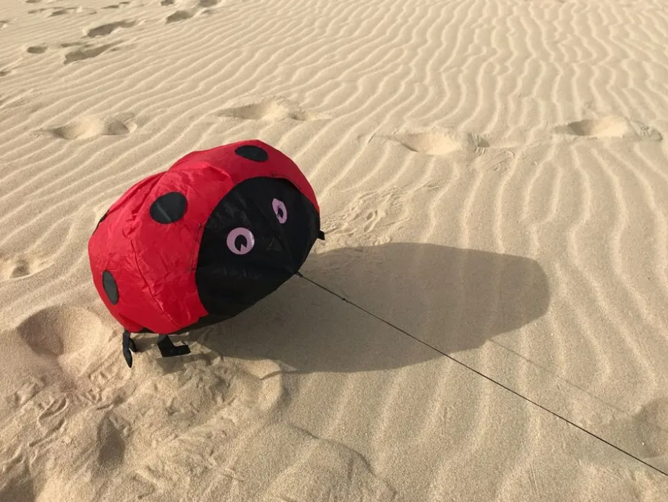 Vindmagi - Hoppende Mariehone (40 X 40 Cm.)