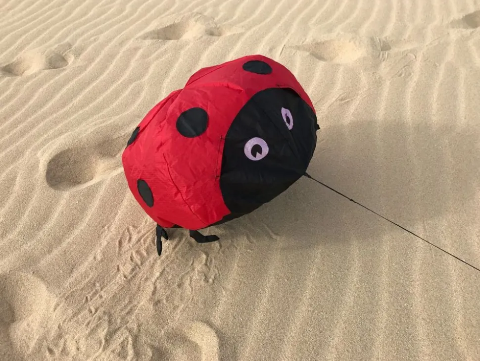 Vindmagi - Hoppende Mariehone (40 X 40 Cm.)