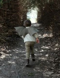 Vingesaet - Flagermus/Drage, Str. 3-6 Ar