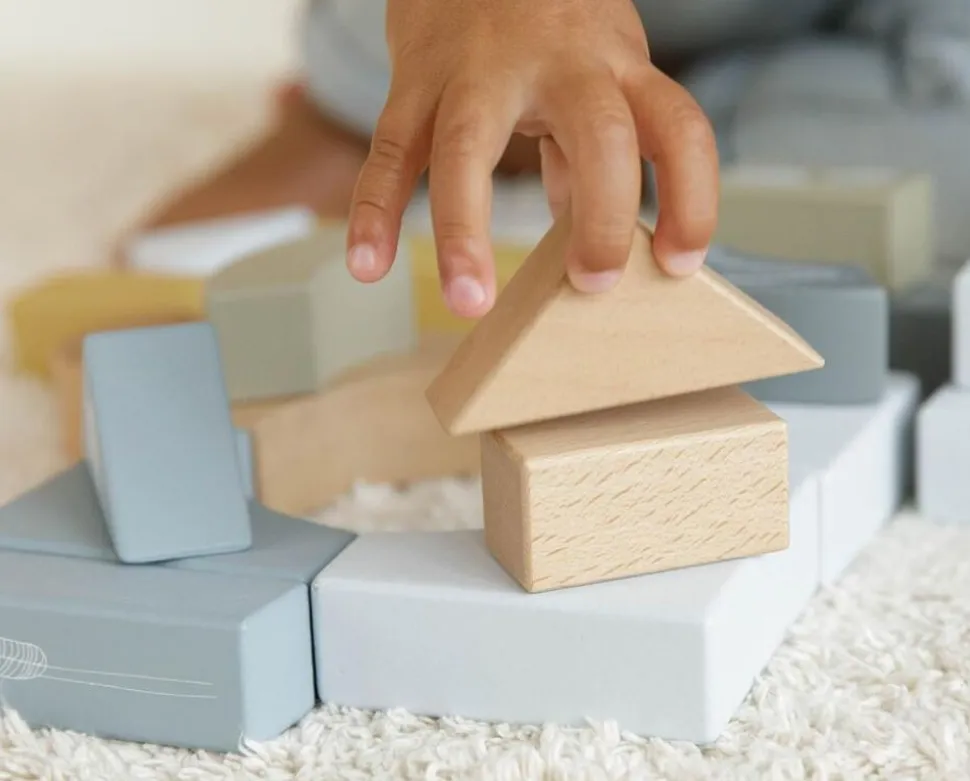 Vogn Med Klodser - Bla